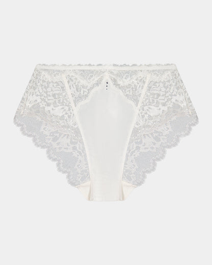 Shivani High Rise Brief